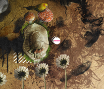 电话压力测试器